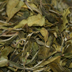 Organic Darjeeling w/ Lemongrass