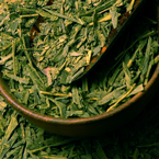 Sencha Gold