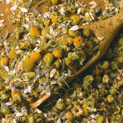 Egyptian Chamomile